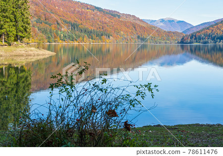 Vilshany water reservoir on the Tereblya river, Transcarpathia, Ukraine. Picturesque lake with clouds reflection. Beautiful autumn day in Carpathian Mountains. 78611476