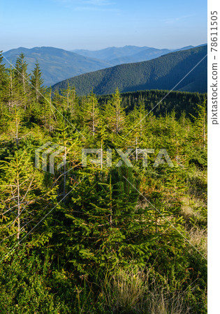 Summer Carpathian mountains evening view. Stony Gorgany massif, Ukraine. Summer Carpathian mountains evening view. Stony Gorgany massif, Ukraine. 78611505