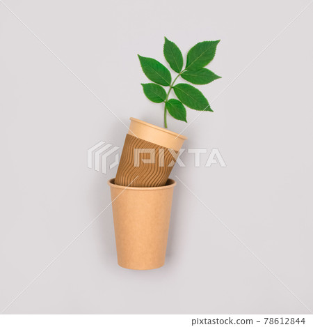 Eco-friendly coffee to go cups - kraft paper cup with green leaves above on light grey background with copyspace. Recycled kraft paper packaging and zero waste concept, mockup image 78612844
