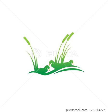Duck icon logo design concept template illustration Duck icon logo design concept template illustration 78613774