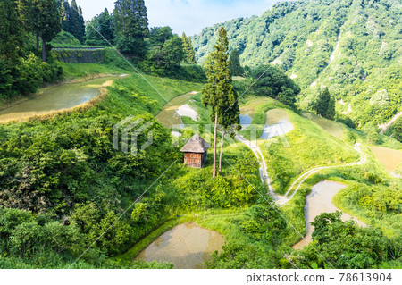 Rusubara Rice Terraces 1 78613904