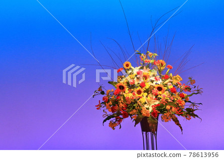 舞台上的鮮花 78613956