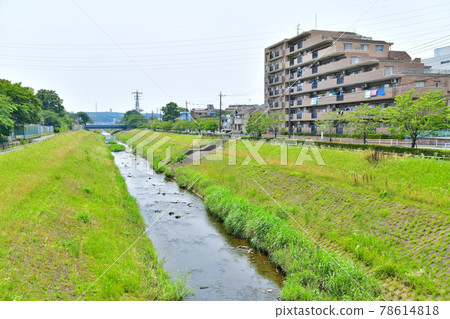 並木橋 / 俯瞰大栗川上游（東京都多摩市）[2021.6] 78614818