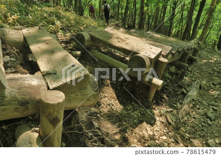 Stairs in the mountain in Komagatake, Mt Akagi 78615479