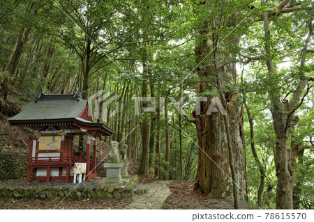 Prince Tsugusakura [Nakahechi-cho, Tanabe City, Wakayama Prefecture] 78615570