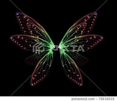 wings of Insect cicada on black bacground 78616019