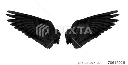 black wings isolated on white background black wings isolated on white background 78616026