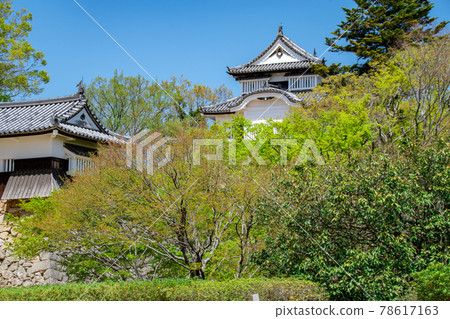 The castle tower of Bitchu Matsuyama Castle, covered with greenery, Takahashi City, Okayama Prefecture 78617163