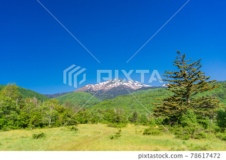 （長野縣）Norikura Kogen，Ichinoseenchi，一條新鮮的綠色步行道 78617472