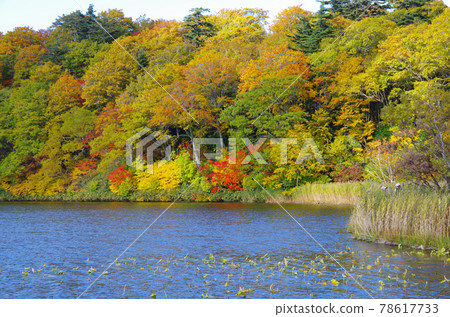Hachimantai Aspite Line 大沼秋葉 Hachimantai Aspite Line 大沼秋葉 78617733