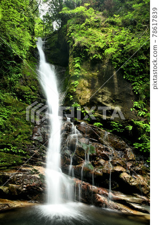 道電瀑布【三重縣熊野市基和町】 78617839