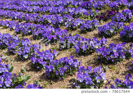 花博會紀念公園鶴見龍口 78617844