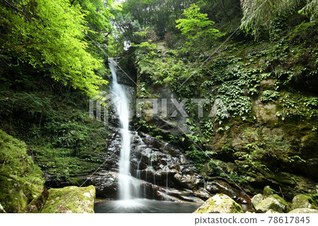 Doden Waterfall [Kiwa Town, Kumano City, Mie Prefecture] 78617845