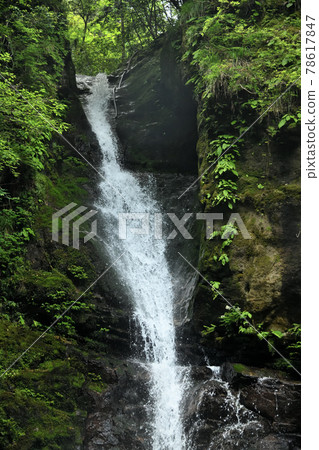 Doden Waterfall [Kiwa Town, Kumano City, Mie Prefecture] 78617847