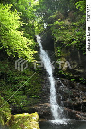 Doden Waterfall [Kiwa Town, Kumano City, Mie Prefecture] 78617851