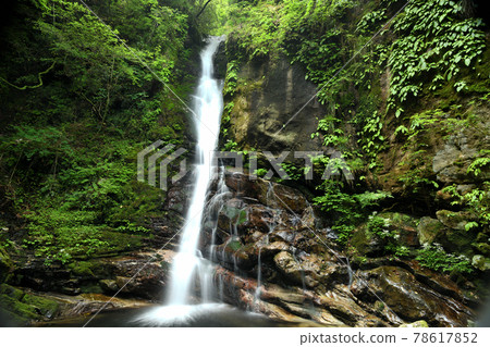 Doden Waterfall [Kiwa Town, Kumano City, Mie Prefecture] 78617852