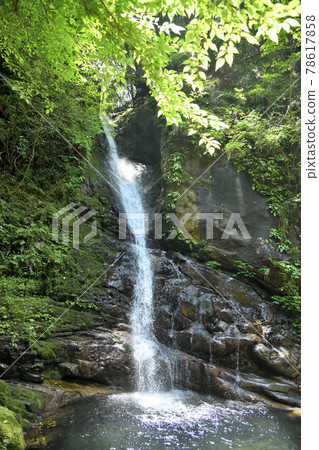 Doden Waterfall [Kiwa Town, Kumano City, Mie Prefecture] 78617858