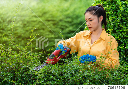 woman using  cordless electric hedge cutting and trimming plant in garden at home 78618106