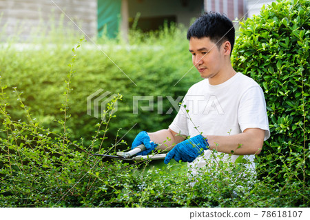 man using big scissors cutting and trimming plant in garden at home 78618107