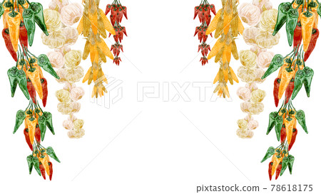 Hand-painted watercolor-style illustrations of hanging corn, garlic and chili peppers Hand-painted watercolor-style illustrations of hanging corn, garlic and chili peppers 78618175