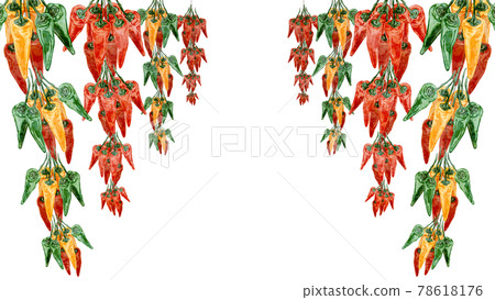 Handwritten watercolor style illustration of hanging red pepper 78618176