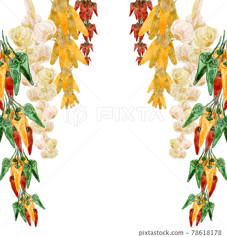 Hand-painted watercolor-style illustrations of hanging corn, garlic and chili peppers Hand-painted watercolor-style illustrations of hanging corn, garlic and chili peppers 78618178