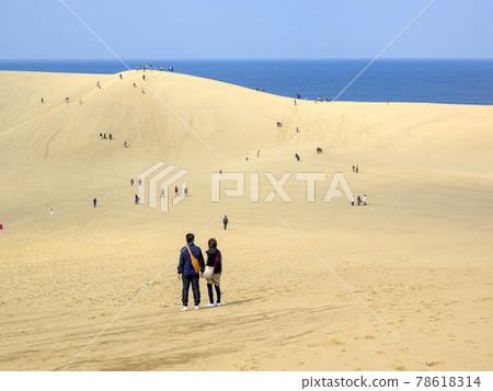 Tottori sand dunes in autumn 78618314