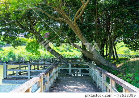 三重縣龜山市龜山書園龜山城附近的風景 三重縣龜山市龜山書園龜山城附近的風景 78618399
