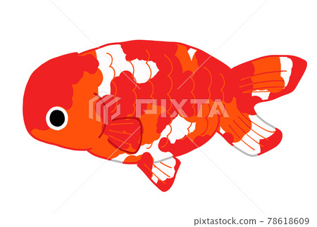 Ranchu illustration 78618609