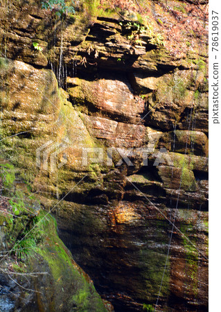 A pure mountain stream over which "Kazura Bridge" is built 78619037