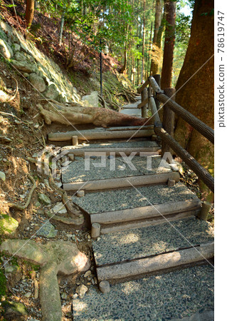 A walking path to the emotional "Kazura Bridge" 78619747