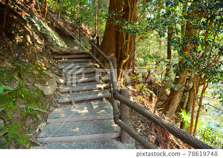 A walking path to the emotional "Kazura Bridge" 78619748