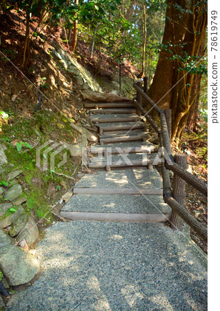 A walking path to the emotional "Kazura Bridge" 78619749