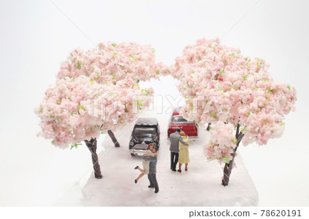 a mini lover figure at Gourgeous cherry trees in full blossom a mini lover figure at Gourgeous cherry trees in full blossom 78620191
