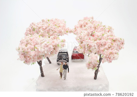 a mini lover figure at Gourgeous cherry trees in full blossom a mini lover figure at Gourgeous cherry trees in full blossom 78620192