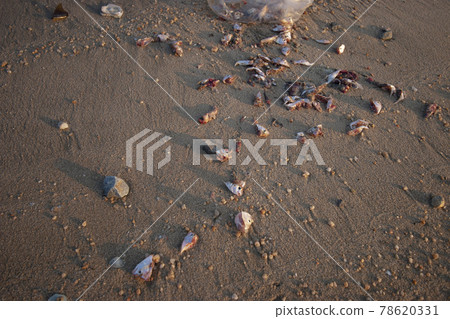 Ha Pak Nai beach area of wetland at sunset 1 July 2006 78620331