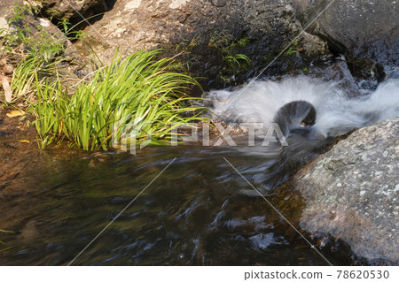 Stream and Bride s Pool Waterfall in Hong Kong. 78620530