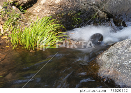 Stream and Bride s Pool Waterfall in Hong Kong. Stream and Bride s Pool Waterfall in Hong Kong. 78620532