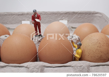 a mini farmer collect the fresh egg on the board a mini farmer collect the fresh egg on the board 78620597