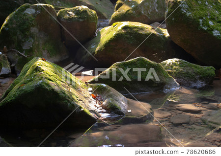a River deep in mountain country park at hong kong a River deep in mountain country park at hong kong 78620686