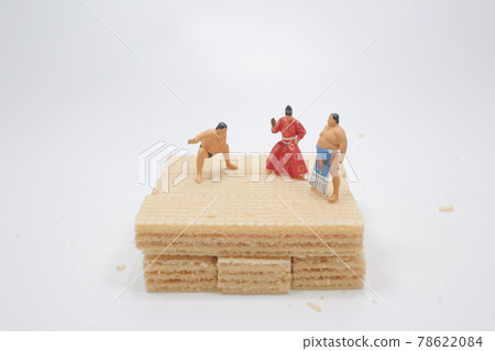 a mini Sumo fighters figth on the waffle 78622084