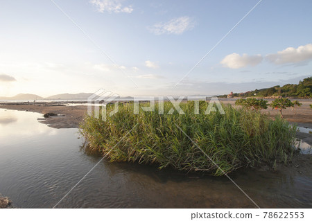Na Pak Nai, a wetland area Yuen Long, Na Pak Nai, a wetland area Yuen Long, 78622553