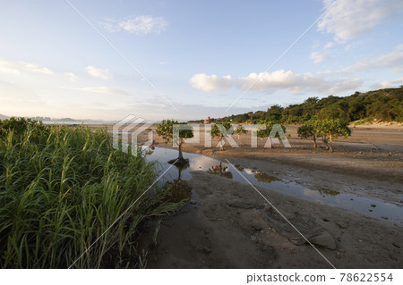 Na Pak Nai, a wetland area Yuen Long, Na Pak Nai, a wetland area Yuen Long, 78622554