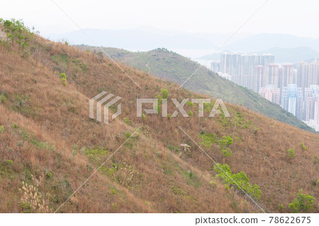 Black Hill of nature view at hong kong 10 Dec 2006 Black Hill of nature view at hong kong 10 Dec 2006 78622675