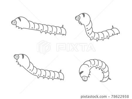 Silk moth larva set of illustrations of silk moth 78622938
