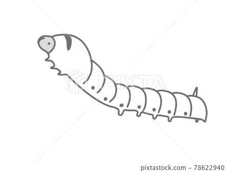 Silk moth larva illustration of silk moth 78622940