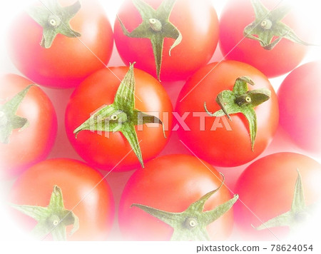 Tomato Tomato ripe tomato alignment, bird's-eye view Tomato Tomato ripe tomato alignment, bird's-eye view 78624054