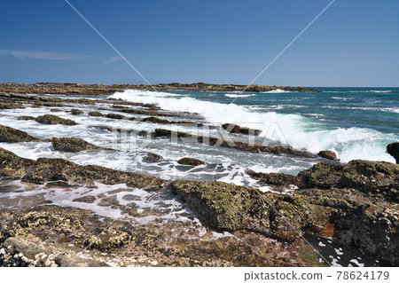 【日南海岸惡魔洗板】宮崎縣宮崎市海道站鳳凰 78624179