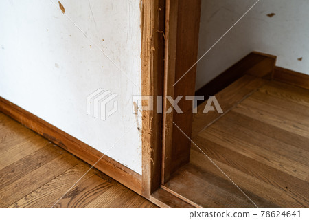 Door remodeling bitten by a dog Pet damage 78624641