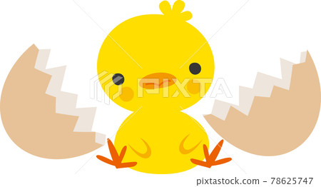 Image illustration of chick and egg shell 78625747